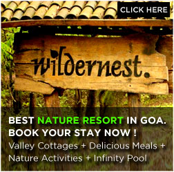 wildernest nature resort goa bookings